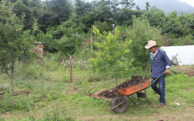Estrategias contra la desnutrición infantil en la Sierra Sur