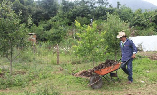 BLOG _2026 (4)