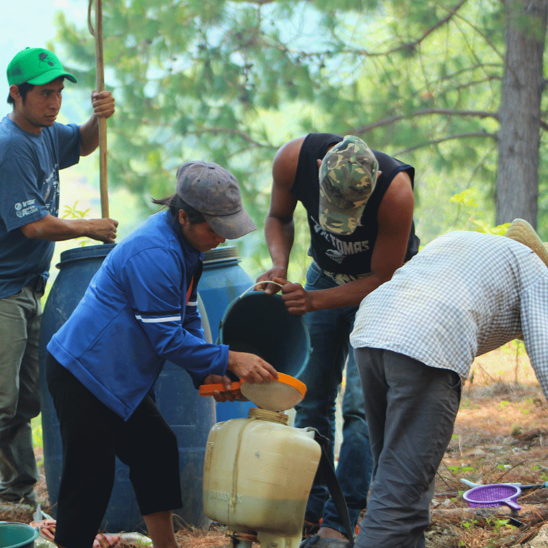 Personas comunitarias trabajando en el manejo sustentable del agua y tareas agrícolas en la comunidad.
